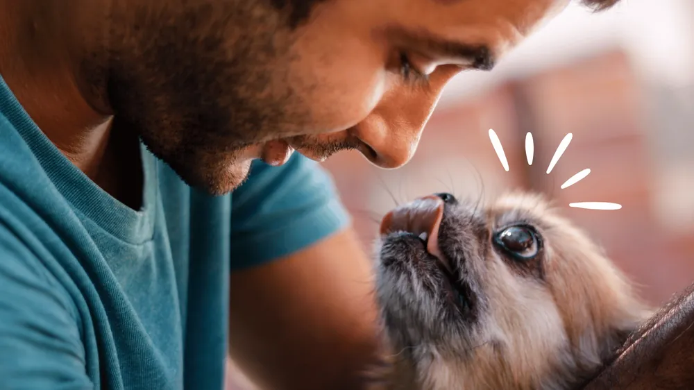Un homme face à face avec son petit chien âgé
