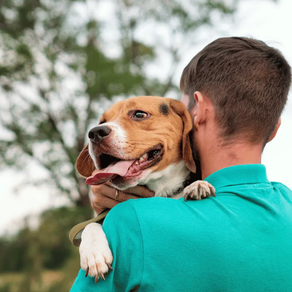 Un homme serre son beagle contre son épaule
