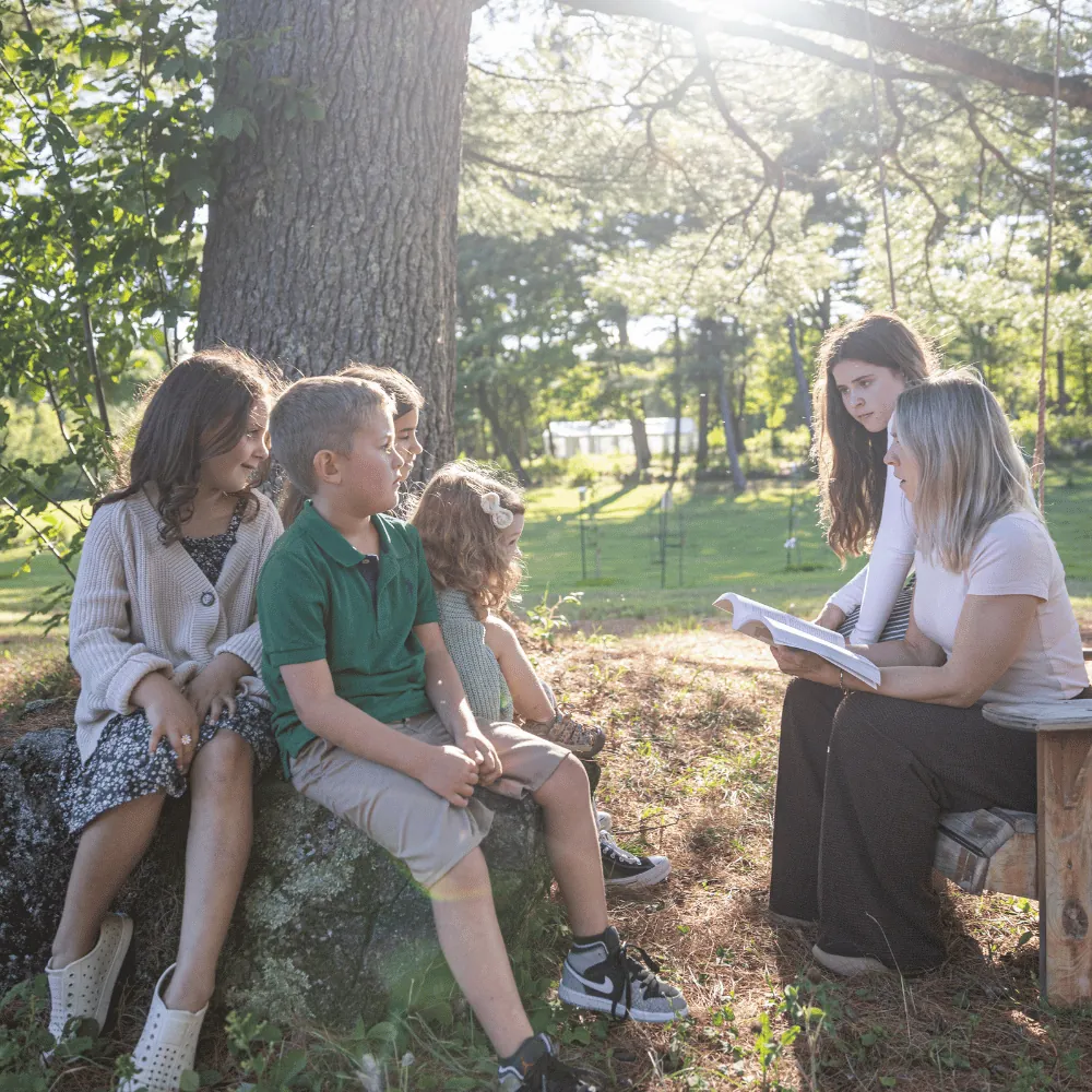 Une famille réunie en forêt, assise sur un rocher