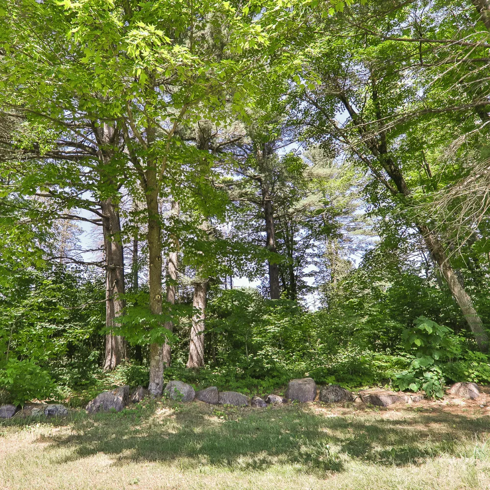 Une clairière bordée de grands arbres au Boisé